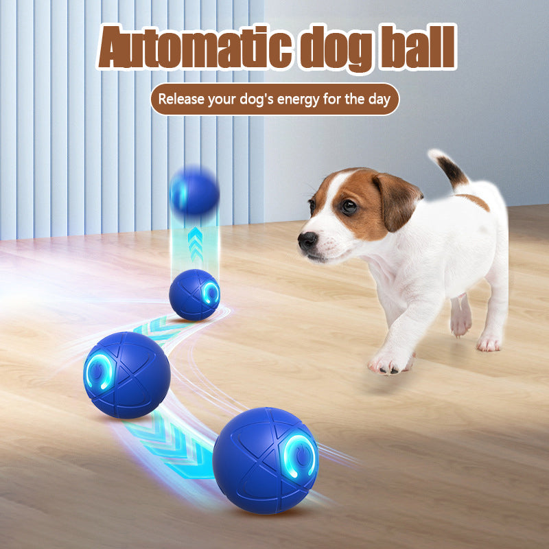 Pet Bounce Ball for Cats🐱 & Dogs🐶