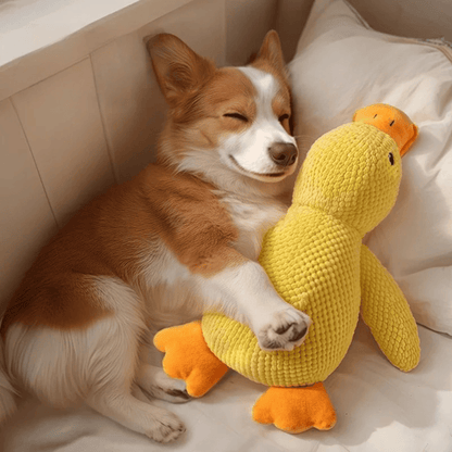Calming Duck Plush Toy
